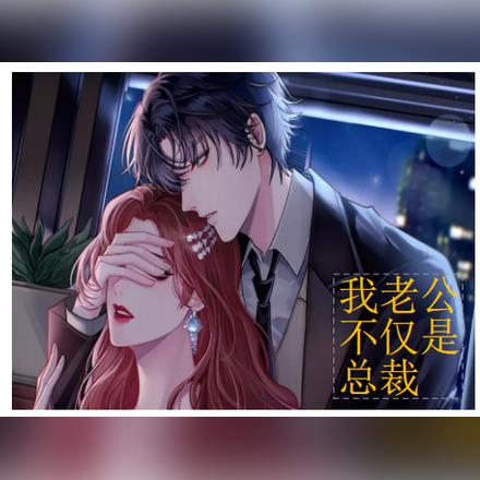 老公不仅是总裁